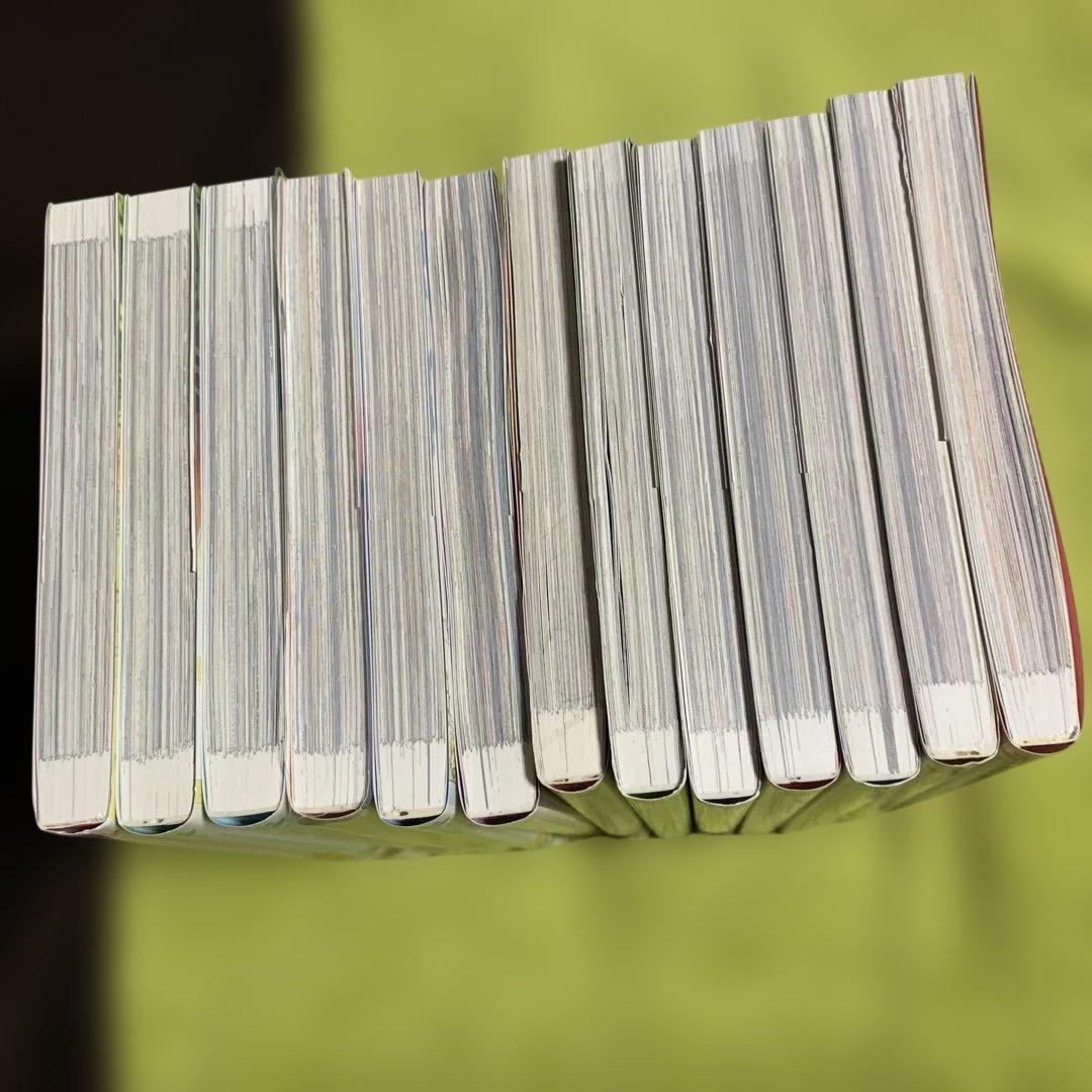 【特典付‼️】ある日、お姫様になってしまった件について 1巻〜13巻 (全巻完結)