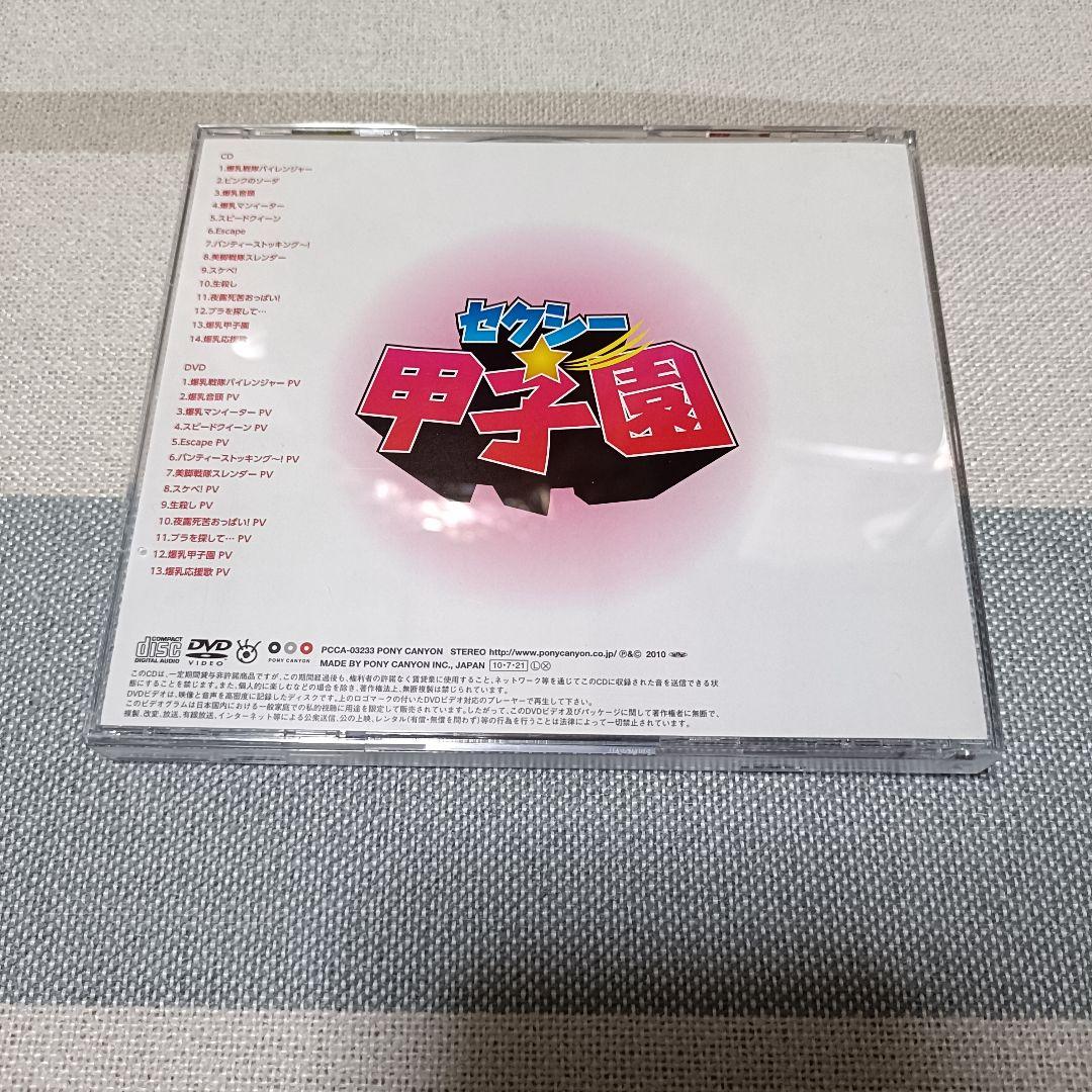 セクシー甲子園 セクシーオールシスターズ