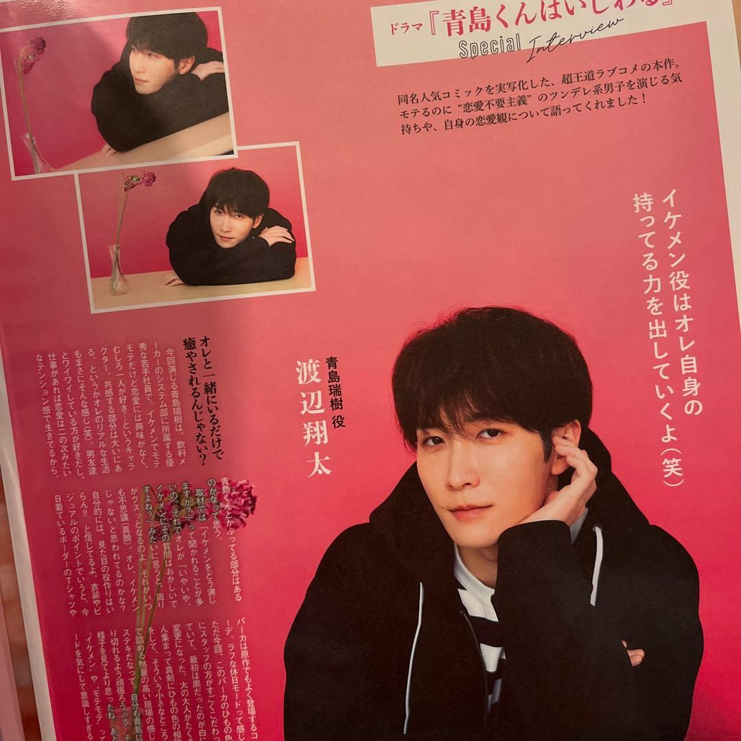 青島くんはいじわる 渡辺翔太 中村アン 切り抜き まとめ売り - メルカリ