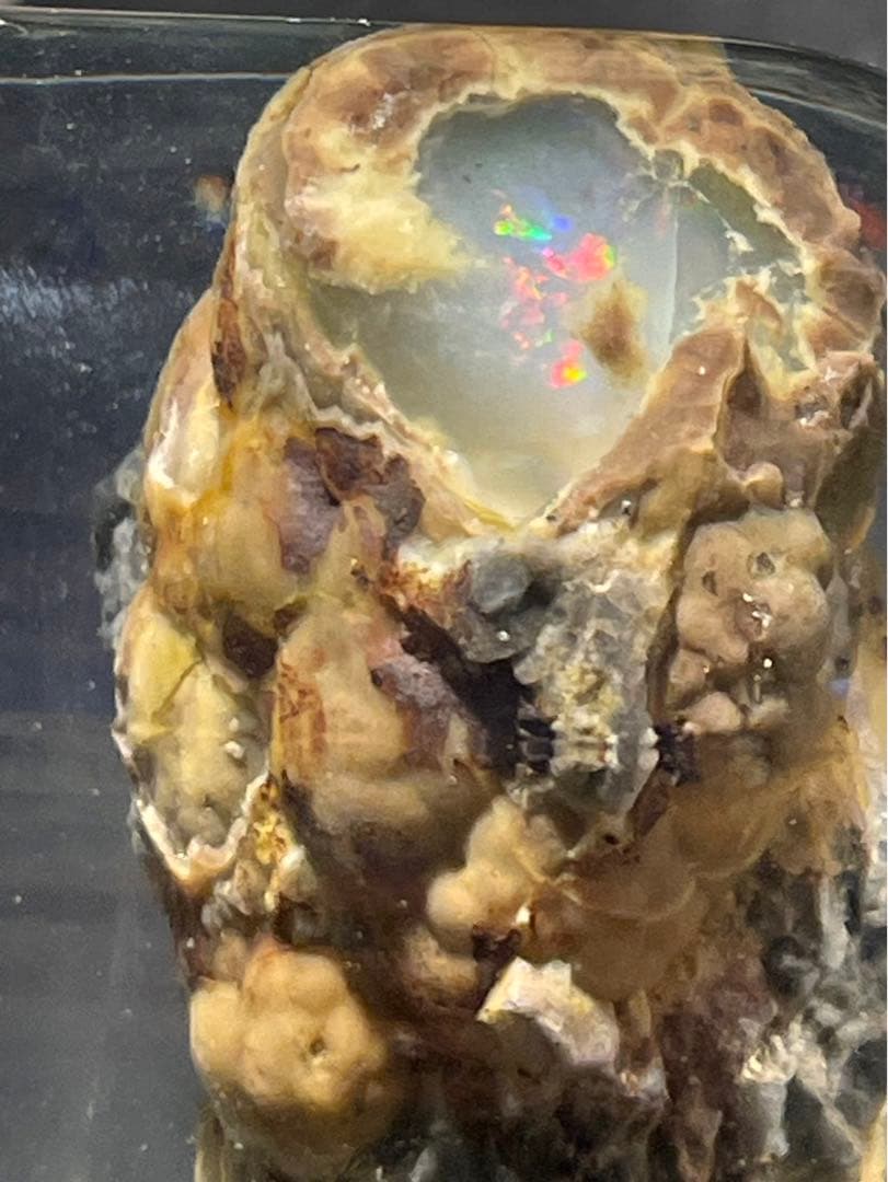 宝坂オパール　遊色セミブラックノジュール　原石　国産鉱物 宝坂産オパール ノジュール 39.3g｜天然石 原石 通販 キラリ石