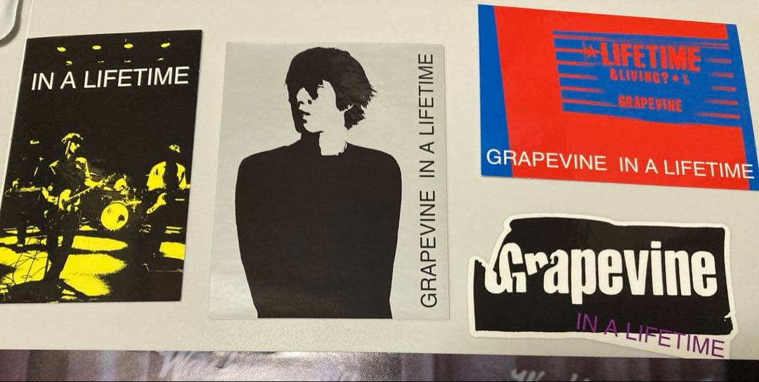 GRAPEVINE ステッカー セット グレイプバイン - メルカリ