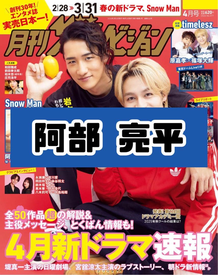 ザテレビジョン 4月号 阿部亮平 SnowMan 雑誌 切り抜き - メルカリ