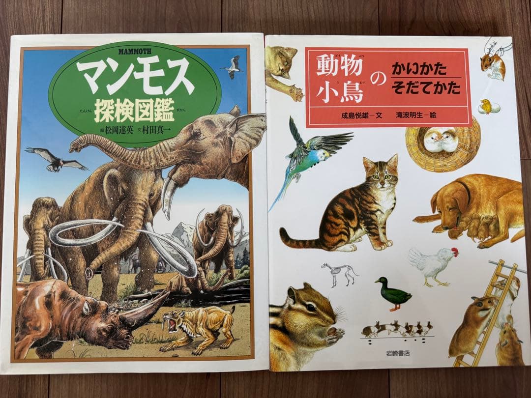 岩崎書店 絵本図鑑シリーズ 全31巻 - メルカリ