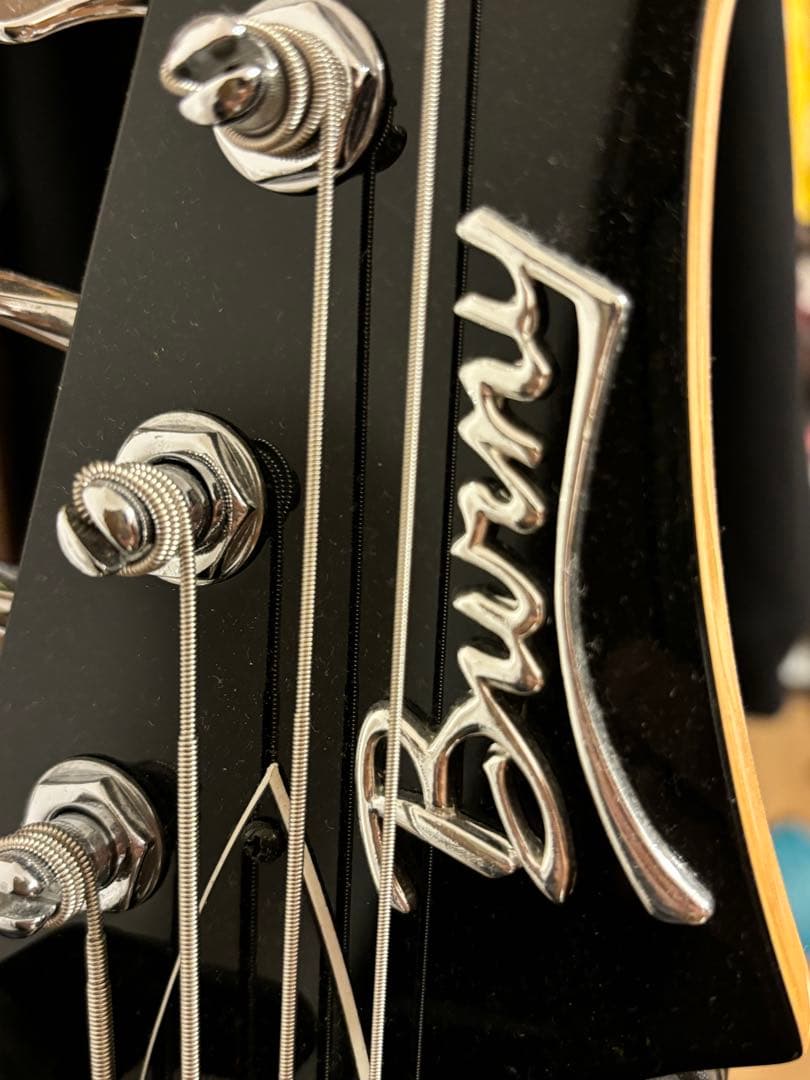 10FEET ナオキモデル ベース バーニー - メルカリ