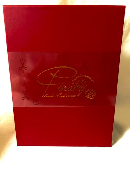 安室奈美恵/namie amuro Final Tour 2018～Final namie amuro Final Tour 2018 Finally (TOKYO+25TH ANNIVERSARY+