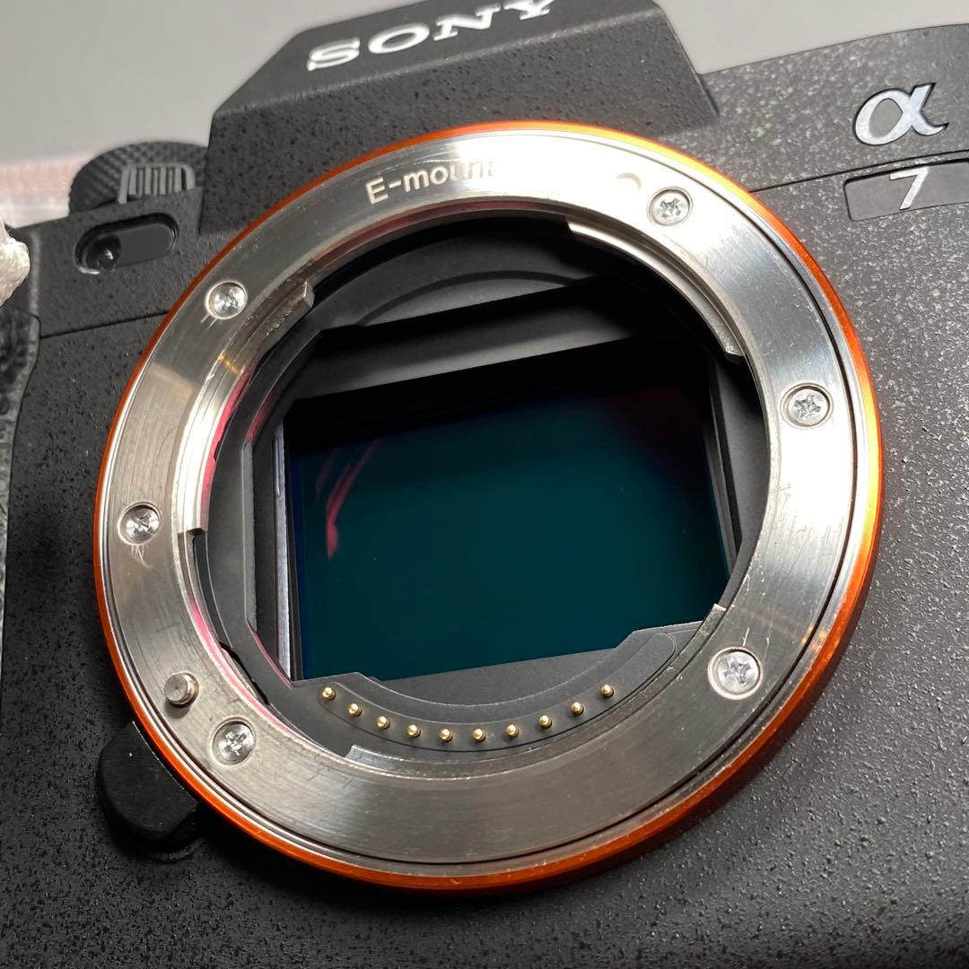 2024年7月購入】SONY α7Ⅳ 保証あり smallrigケージ付 - メルカリ