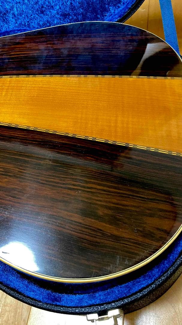 勇*悟様 値下げ希少❣人気種 1973年morris W-40 ハカランダ！HC - メルカリ