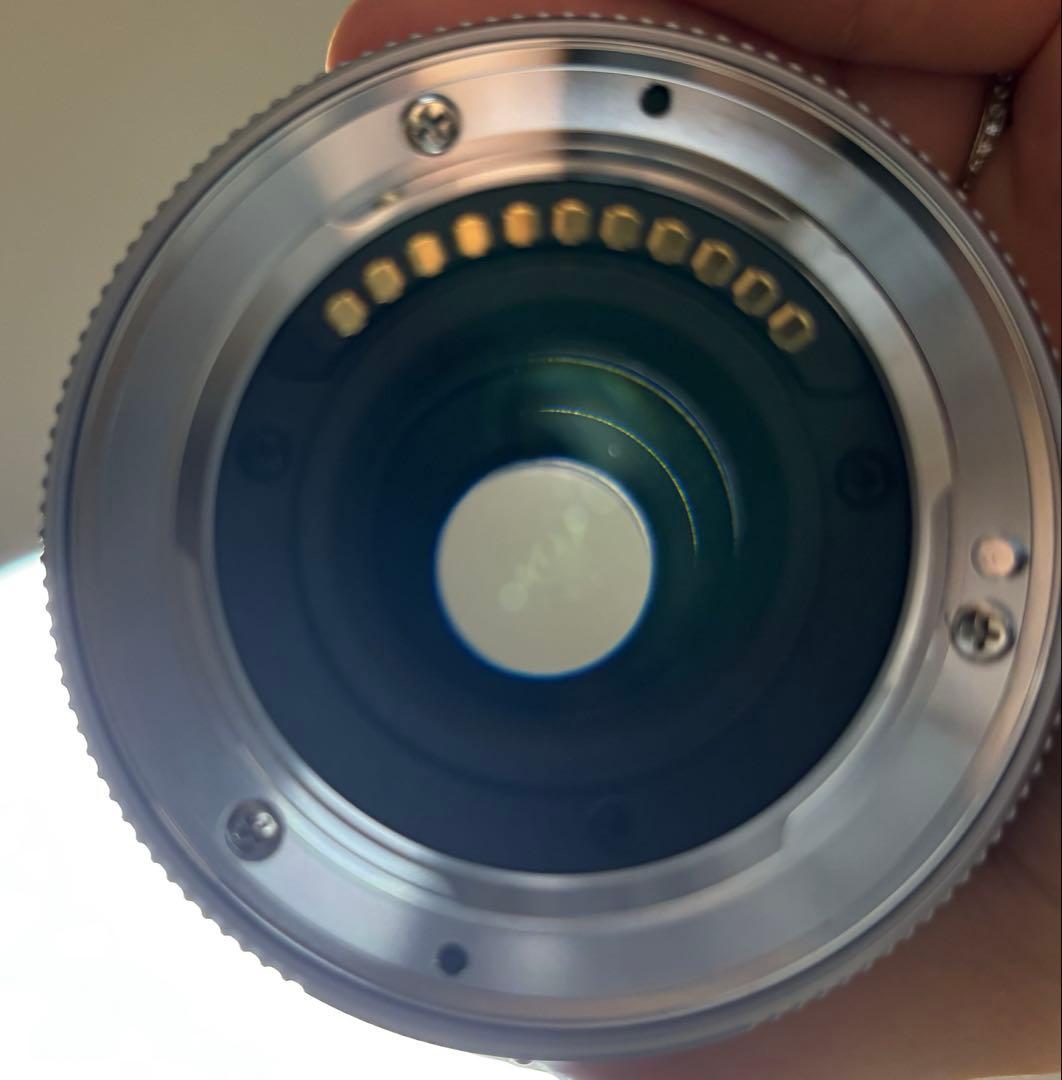 あやLUMIX ズームレンズ 45-175mm F4.0-5.6 ASPH