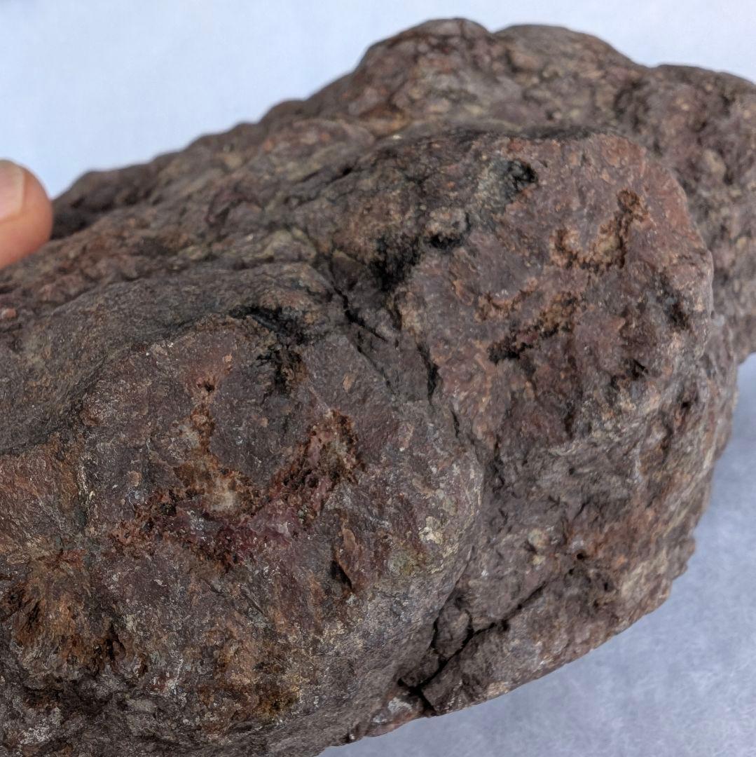 特大 本物 大型肉食恐竜の糞の化石 多彩 メノウ化 標本 1866グラム