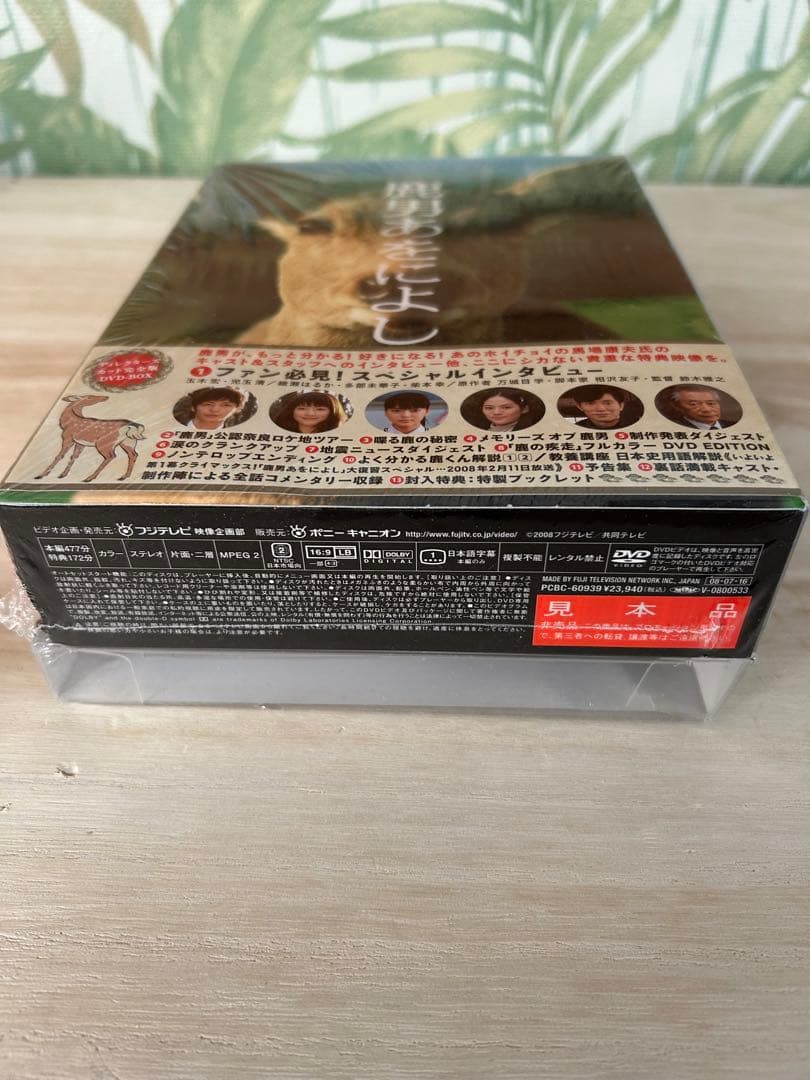 鹿男あをによし 特別版 DVD