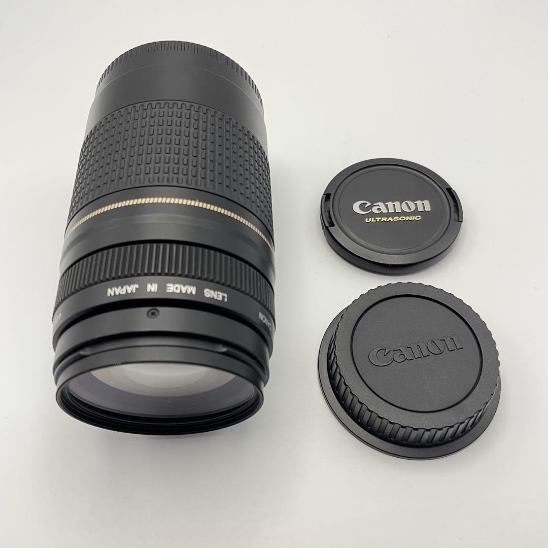 Canon EF 75-300mm F/4-5.6 II 超望遠レンズ　キャノン