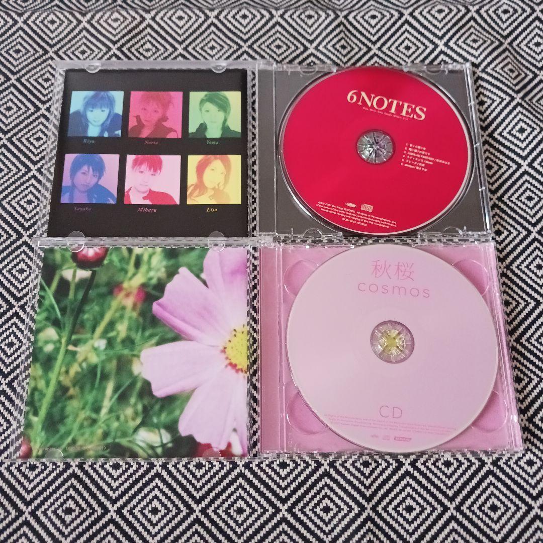 cosmos / 秋桜　南さやか　6NOTES / BeForU　セット