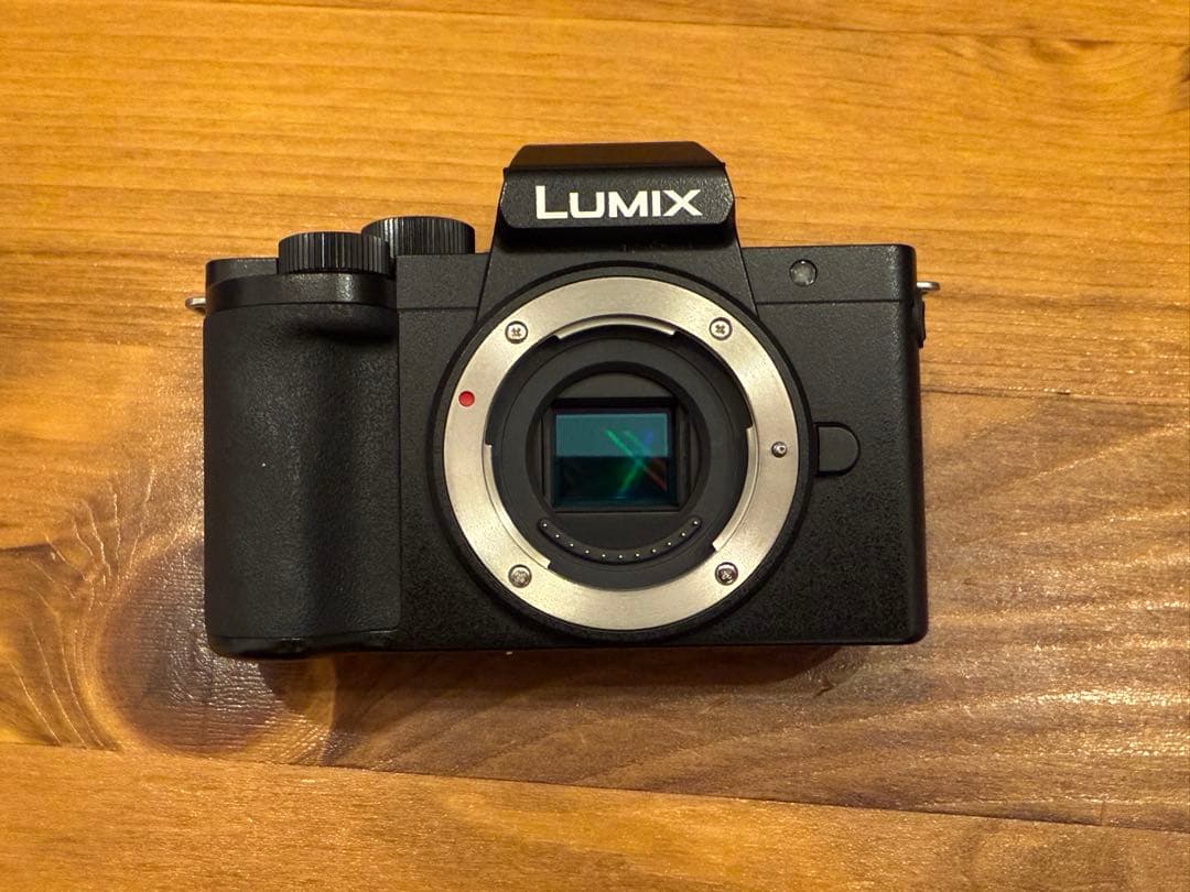 デジタルカメラ LUMIX G100 パナソニックはVloggerをターゲットとするミラーレスカメラ、 「LUMIX