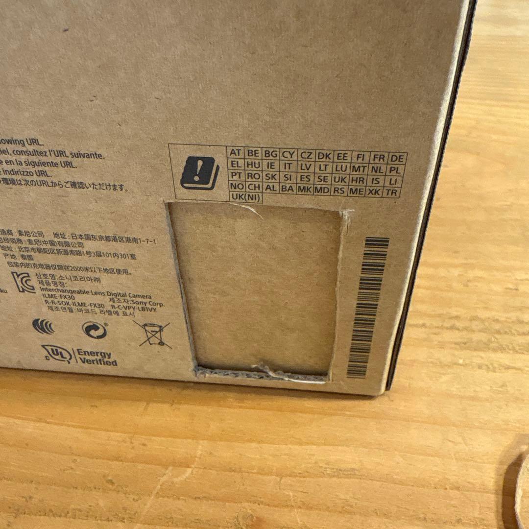 SONY FX30 ミラーレスカメラ バッテリー2個 その他