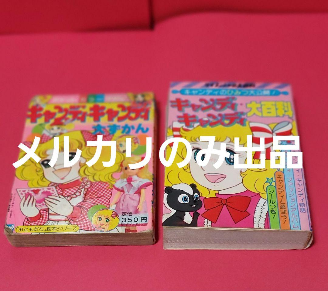 キャンディキャンディ大百科　大ずかんセット　いがらしゆみこ　水木杏子　なかよし 71oOFkrQgtL._AC_UF350,