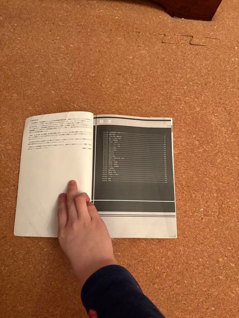 く*ン様 一年分2024鉄緑会生物Aクラス（上位）一式全てあります