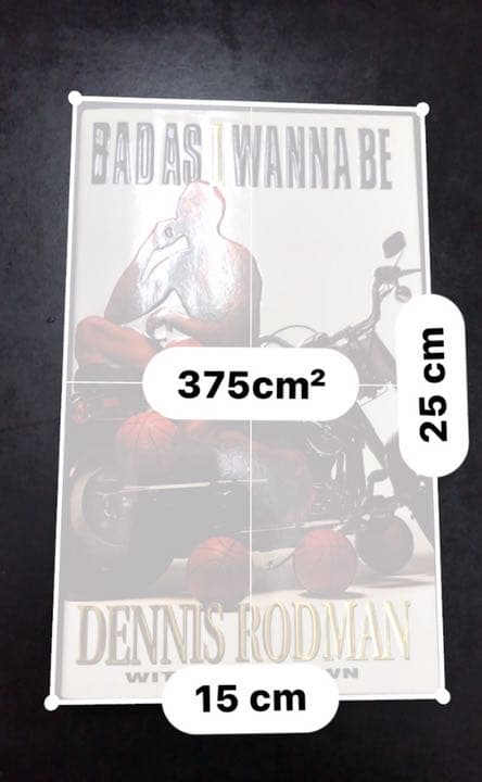 デニス・ロッドマンの「ワルがままに」 : NBAを変える男|mercari