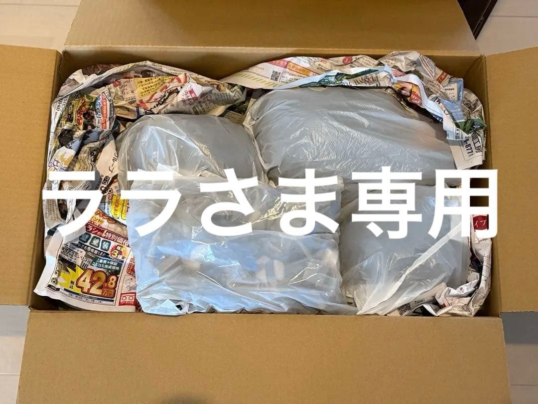 【送料込】美容師 国家試験の練習に使用 カットウィッグ(カット済) 12頭 美容師国家試験カット済みウィッグ 5頭セット - メルカリ