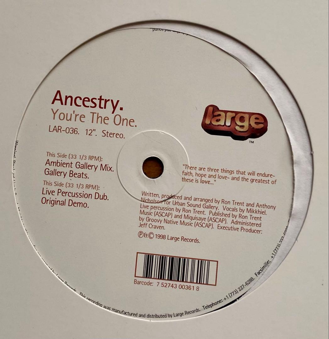 洋楽 Ancestry.-You're The One Ancestry - You're The One - YouTube