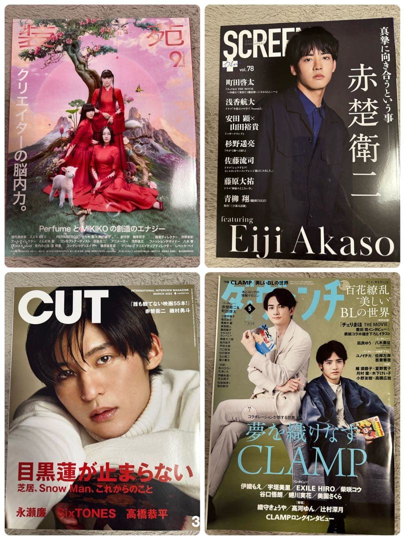 赤楚衛二関連 雑誌 まとめ売り 34冊 - メルカリ