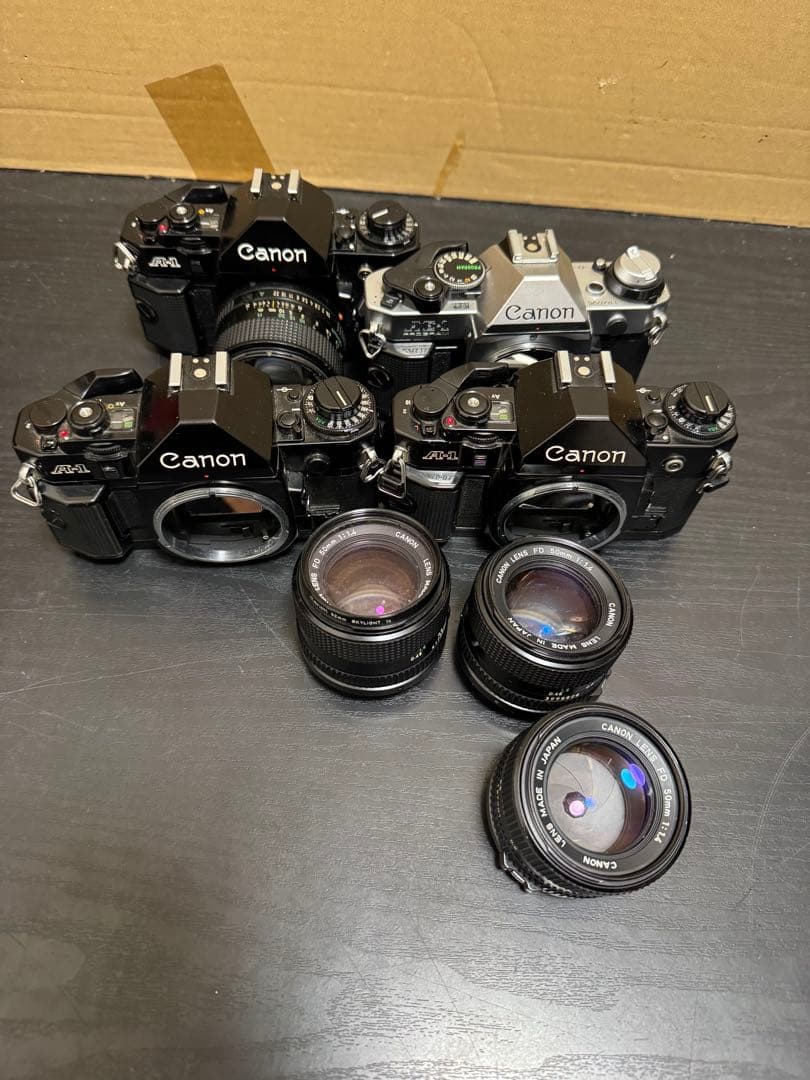 untamed_com Canon レンズ 本体 RF5.2mm F2.8 L DUAL FISHEYE：レンズ交換式カメラ・レンズ｜個人