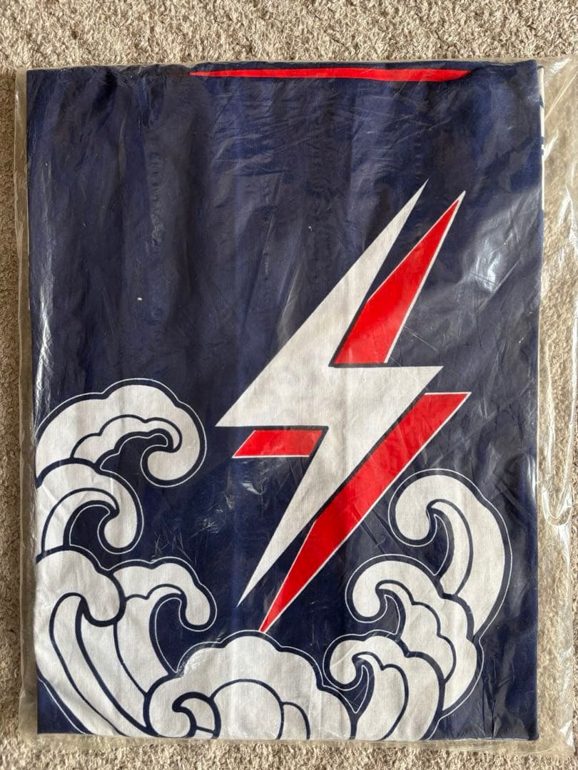 【新品未使用】サザンオールスターズ法被　茅ヶ崎ライブ2000 サザンオールスターズ 茅ヶ崎ライブ 2000 法被 はっぴ レア グッズ SAS