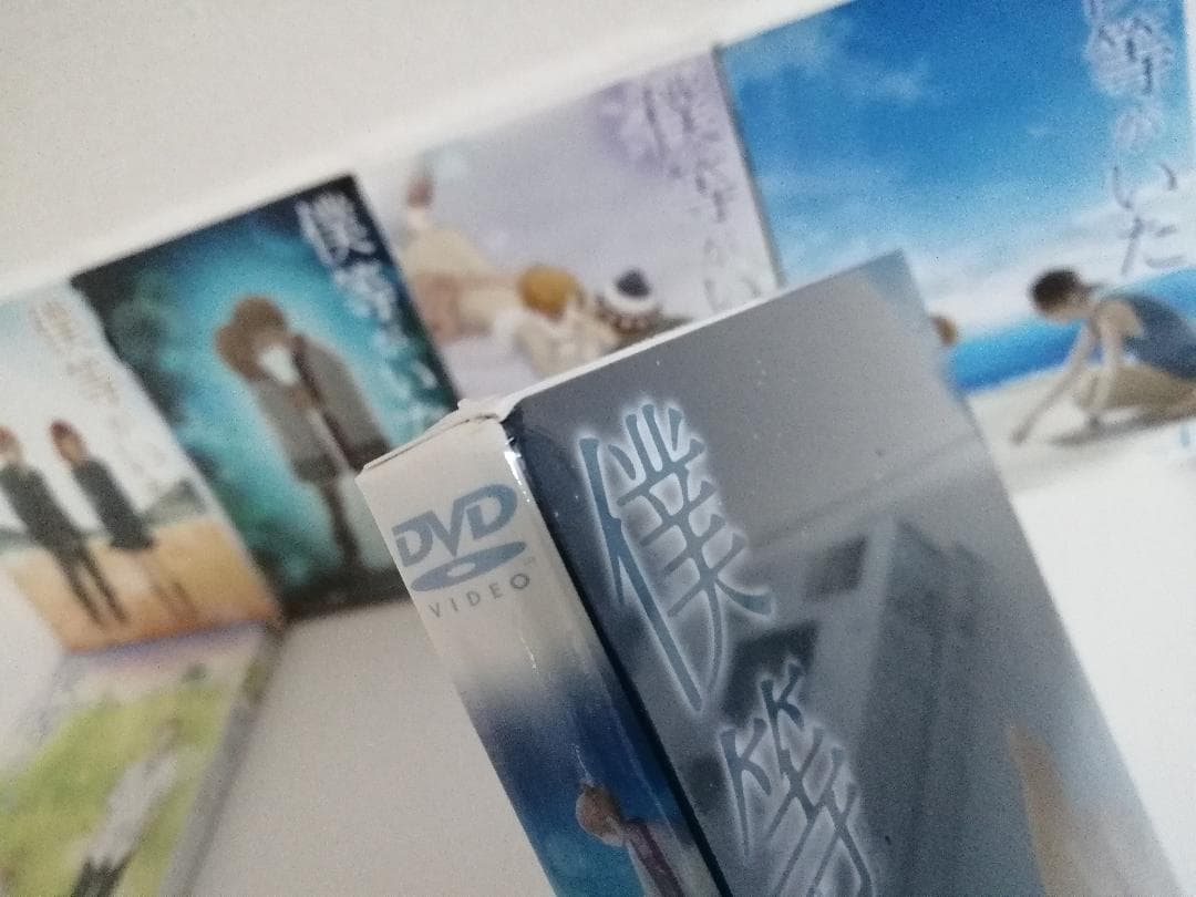 未開封品　僕等がいた スペシャル・エディション　DVD　全9巻セット