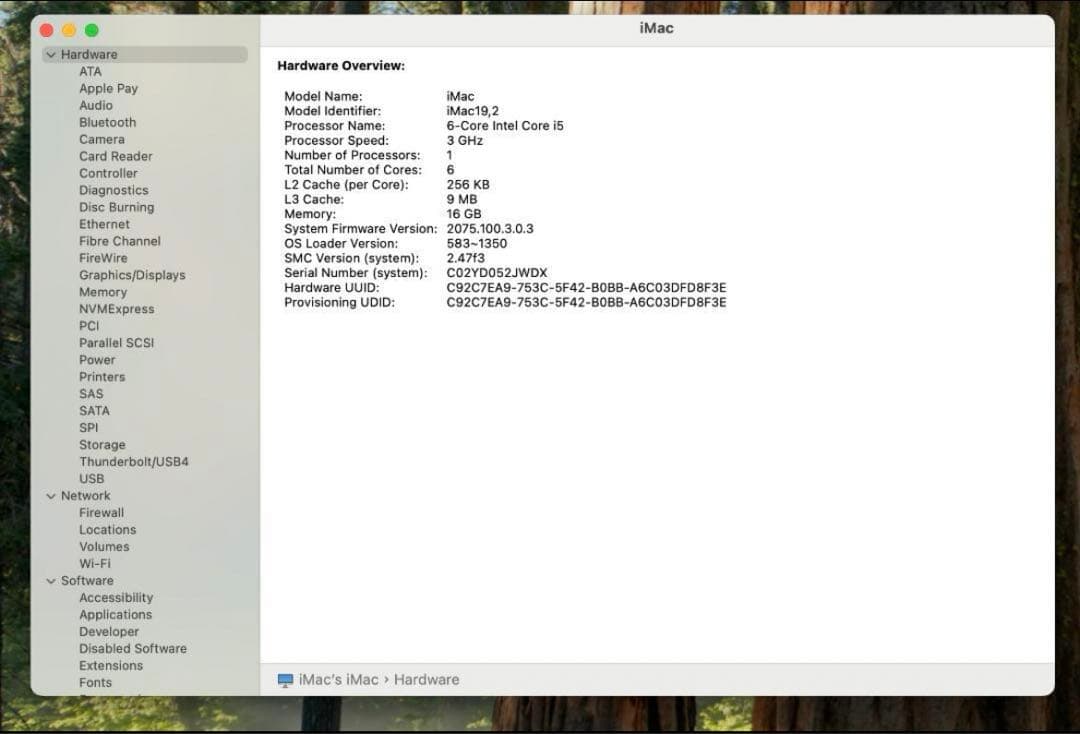 Apple iMac 21.5inch 2019モデル キーボード＆マウスセット