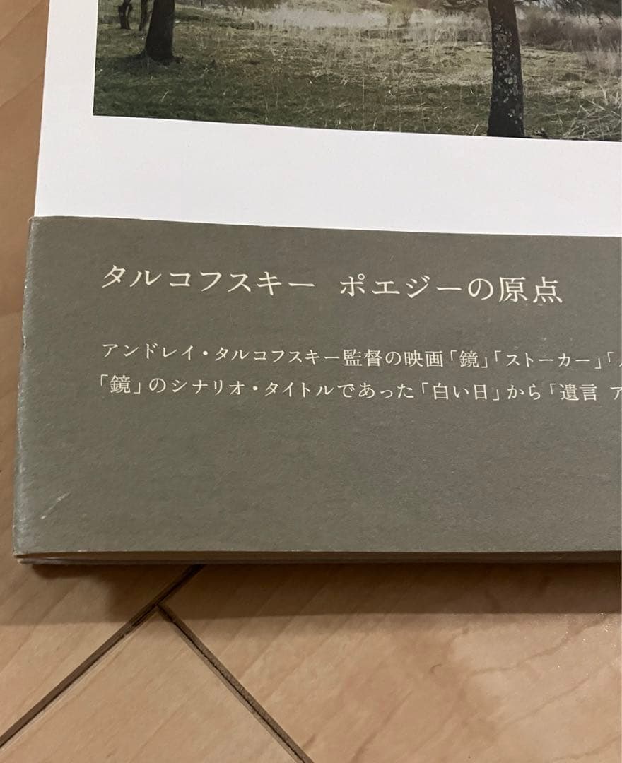 白い、白い日 アルセーニイ・タルコフスキー詩集 静かでやさしい時間
