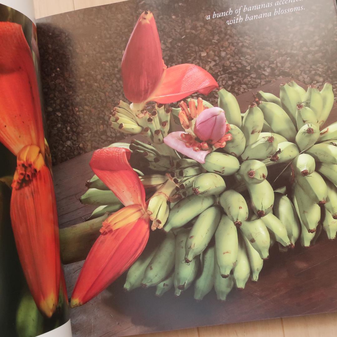 特別価格！ 希少洋書 『花のインスピレーション装飾』生花、フラワー