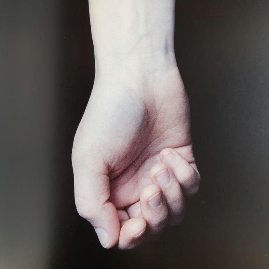 Galateas /Carla Van de Puttelaar★値下げしました