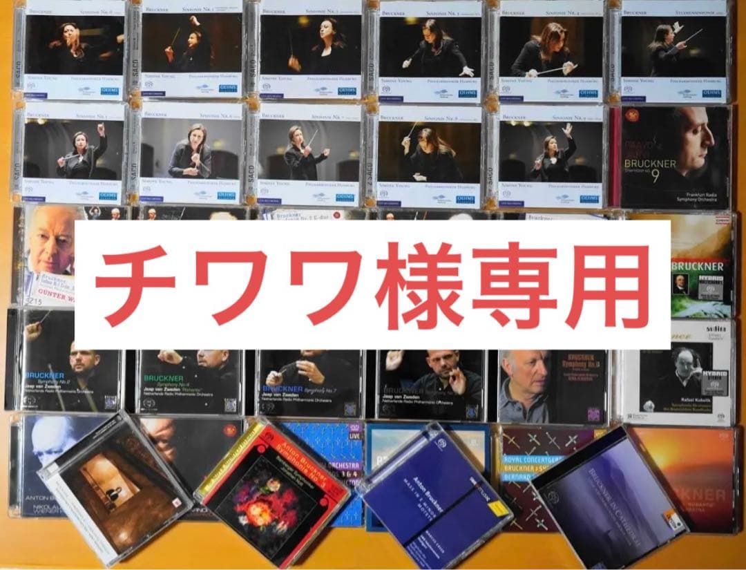 チワワ ペットショップCOO&RIKU No.00748854 チワワ（ロングコート） - YouTube