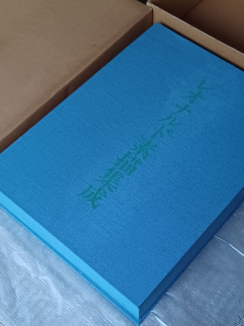 美品・限定200部】学術ファクシミリ版『レオナルド素描集成』定価60万