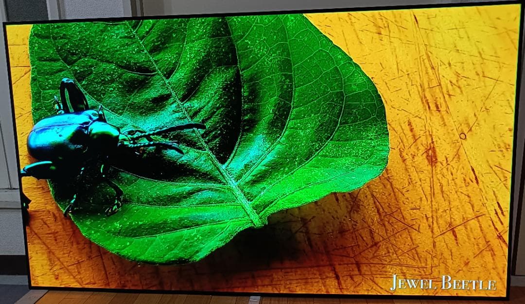 美品 65V型 LG貼るテレビ OLED65W8P 最上位モデル 定価87万円 - メルカリ