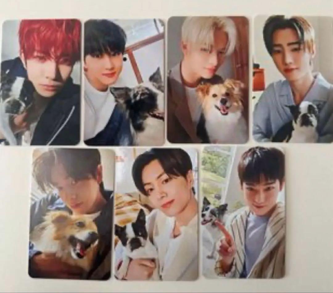 2025 ENHYPEN FC アンケート トレカ 7枚 コンプリート セット - メルカリ