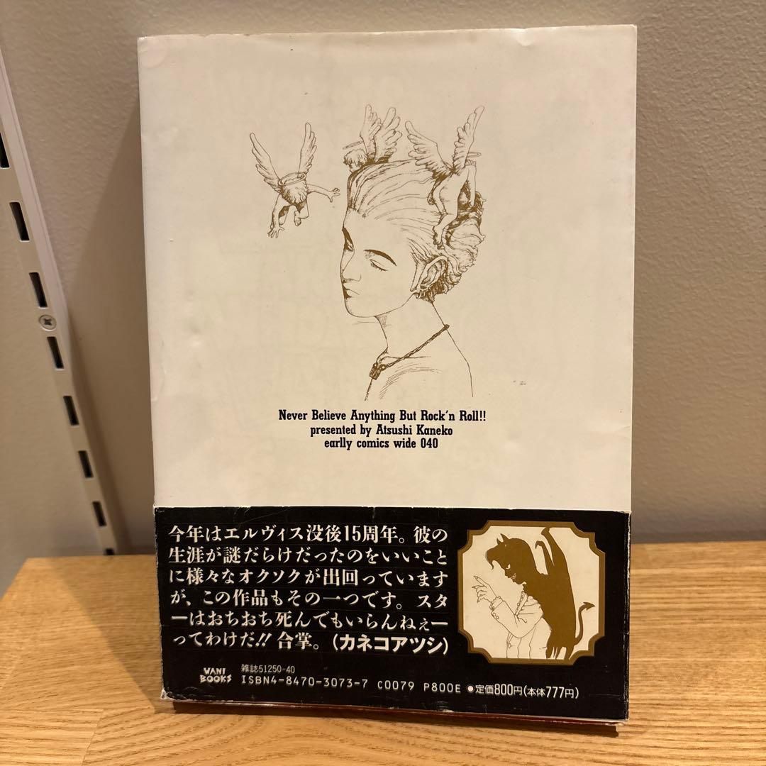 【絶版】ロックンロール以外は全部嘘　カネコアツシ