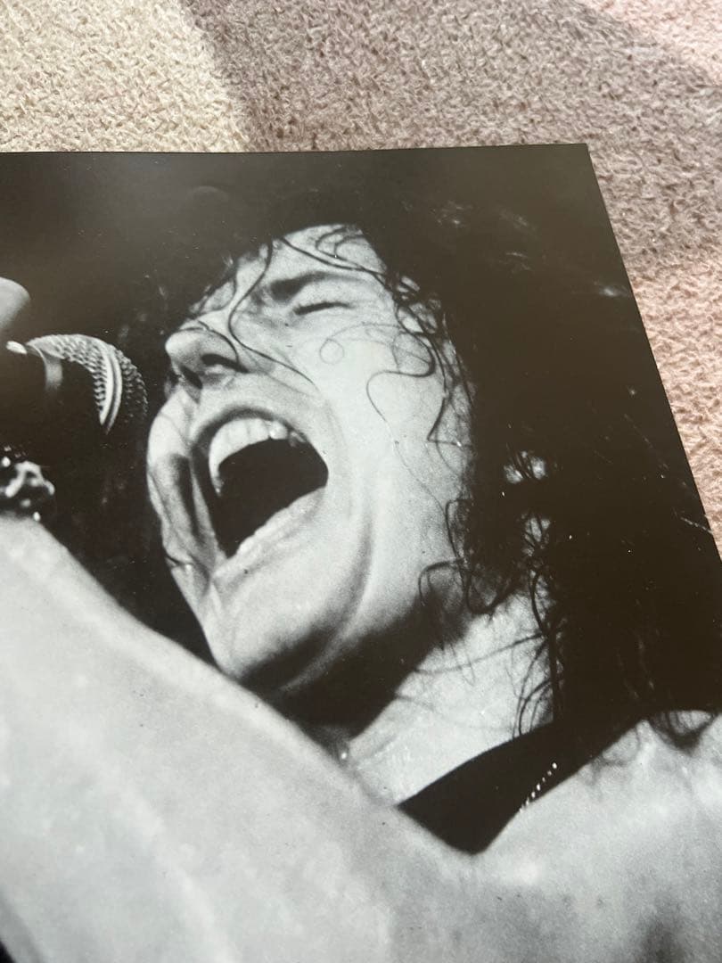 WHITESNAKE ホワイトスネイク パンフレット METALLION 計6冊 - メルカリ