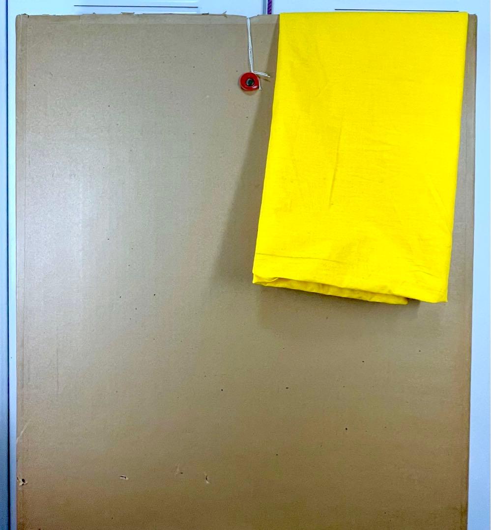 中川力 真作「ばら」 油彩6号 格調高い薔薇図名品 師：有島生馬 - メルカリ