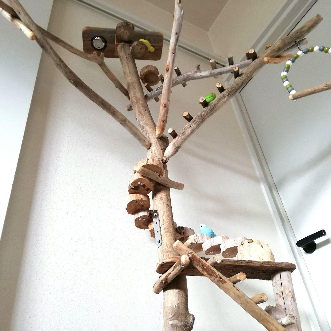 バードアスレチックジム大型 ㉟ 天然木 自然木 流木 止まり木 インコ