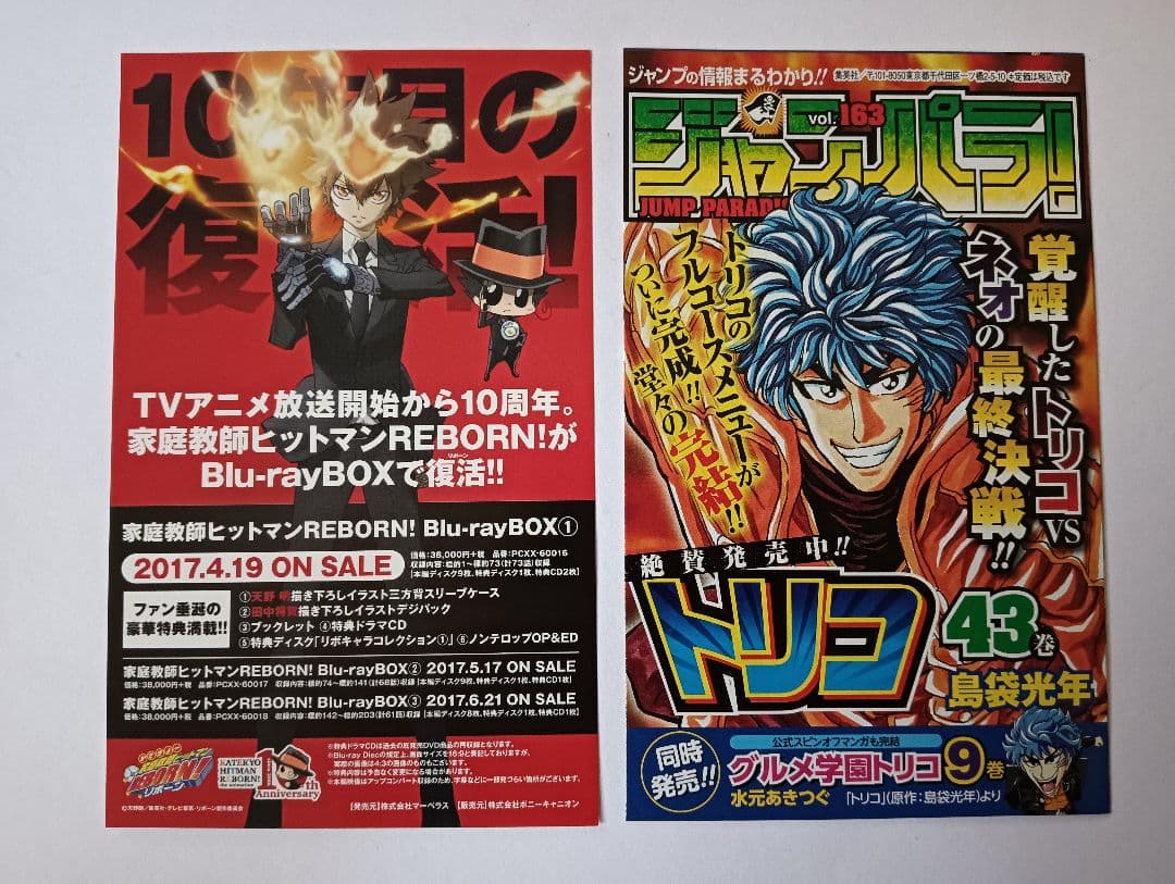 家庭教師ヒットマンREBORN! ファンブック ビジュアルブック イラスト