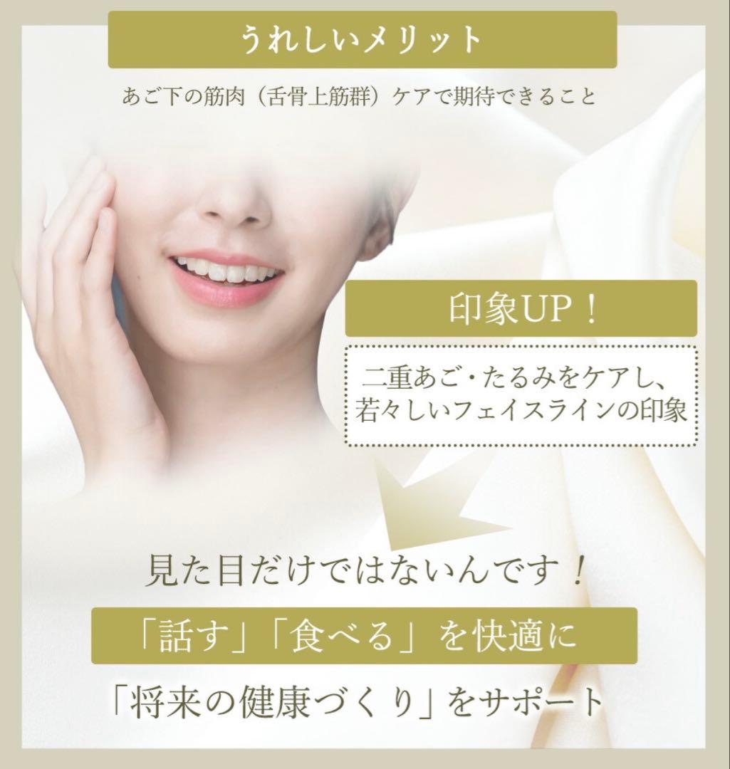 ほぼ新品】スタイリーフェイス StylyFace EMS美顔器 - メルカリ