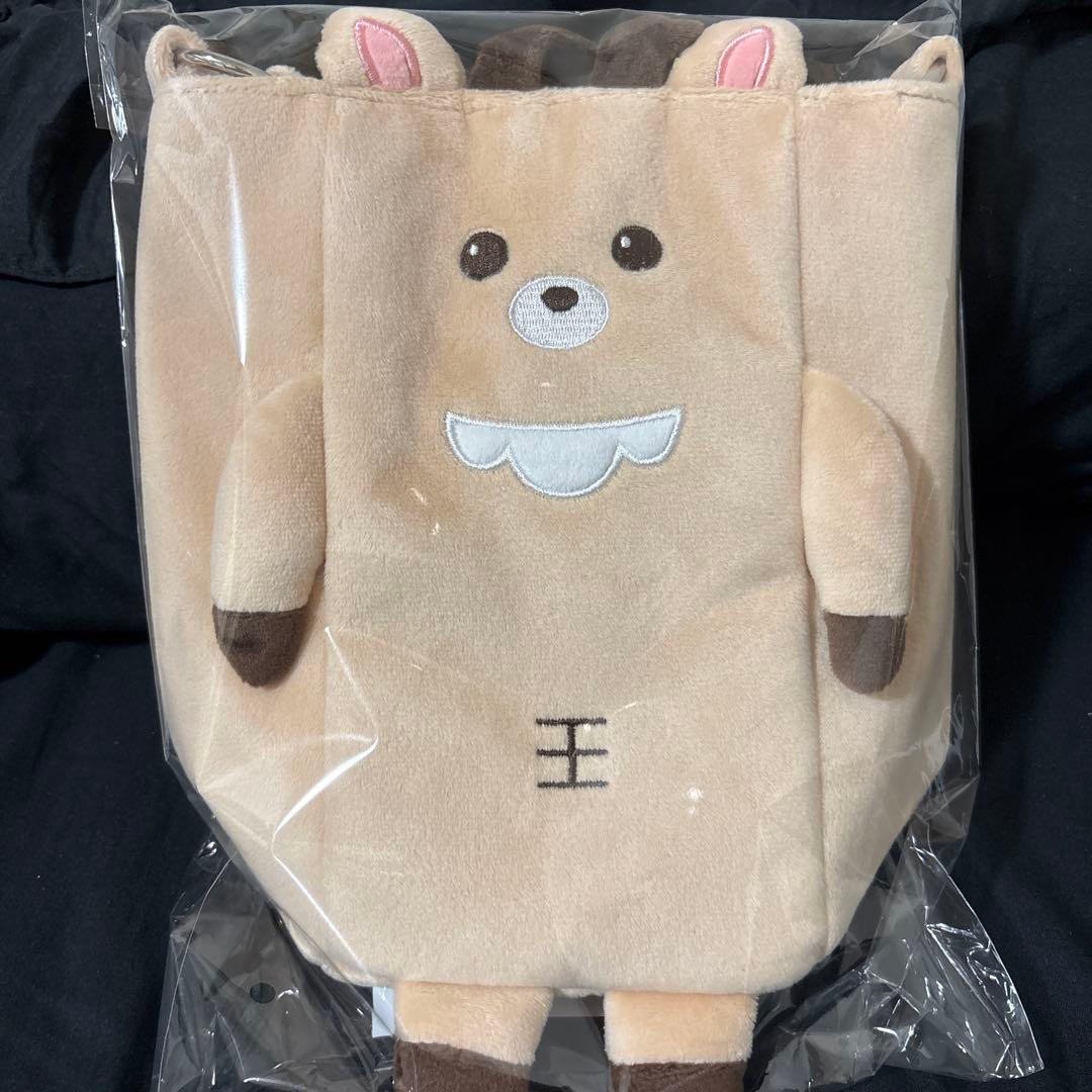 RIIZE RIIZING LOUD 東京ドーム ペンライトバッグ ソンチャン - メルカリ