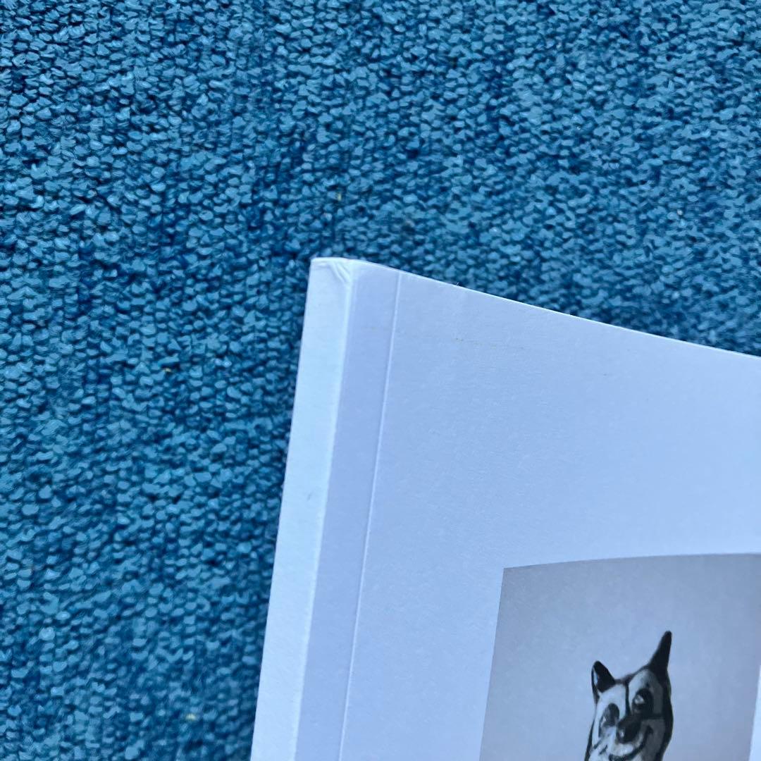 マグダレナ・スアレス・フリムケス 作品集