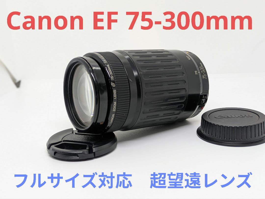 1月19日限定販売♪【超望遠レンズ】Canon EF 75-300mm Amazon.co.jp: 2.2倍高精細超望遠レンズ Canon EF 75-300mm f/4-5.6
