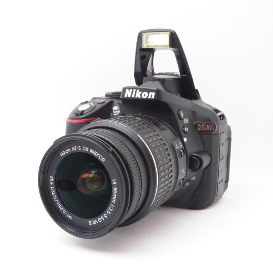 デジタルカメラ Nikon D5300 + AF-S 18-55mm F3.5-5.6 #186