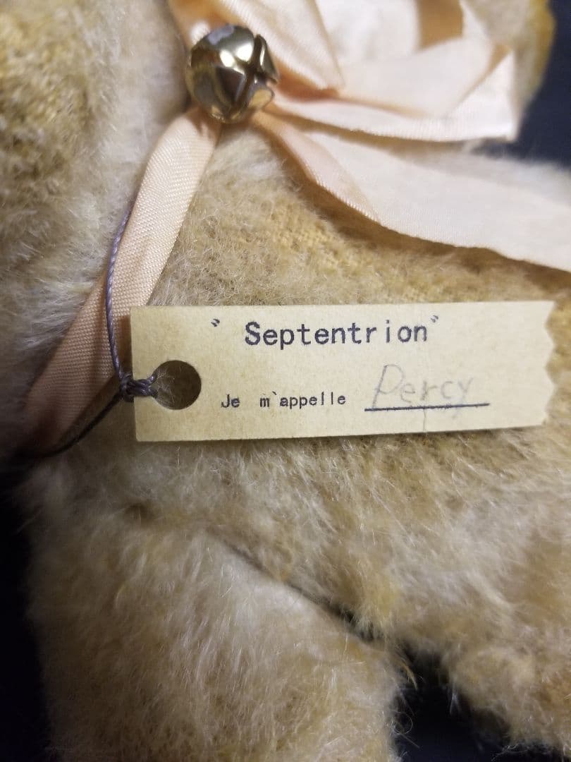 やぐちせいこ様 Septentrion テディベア アーティストベア - メルカリ