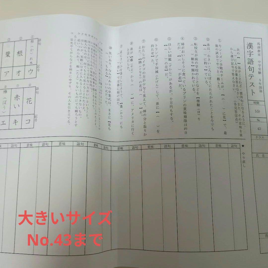 馬渕教室小学5年 漢字、語句テストプリント 小学5年 No.1-59 - メルカリ