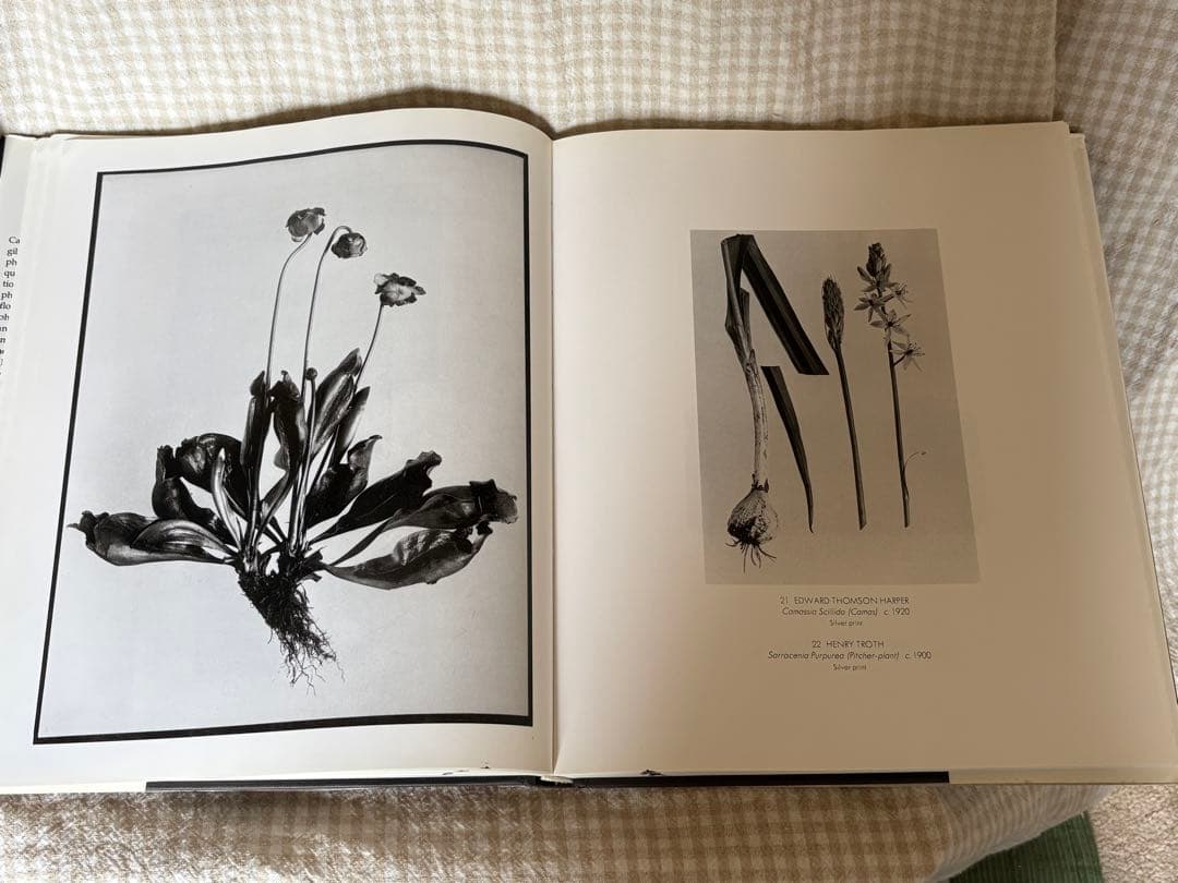 William A. Ewing ウィリアム・A・ユーイング写真集