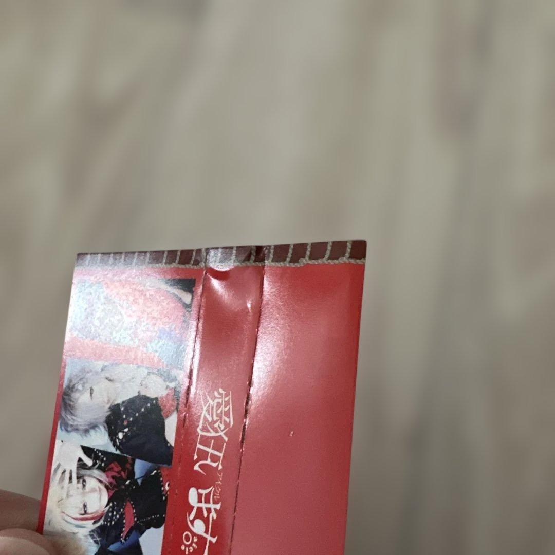 R指定 愛狂います。 SP+LIT CD ヴィジュアル系 V系