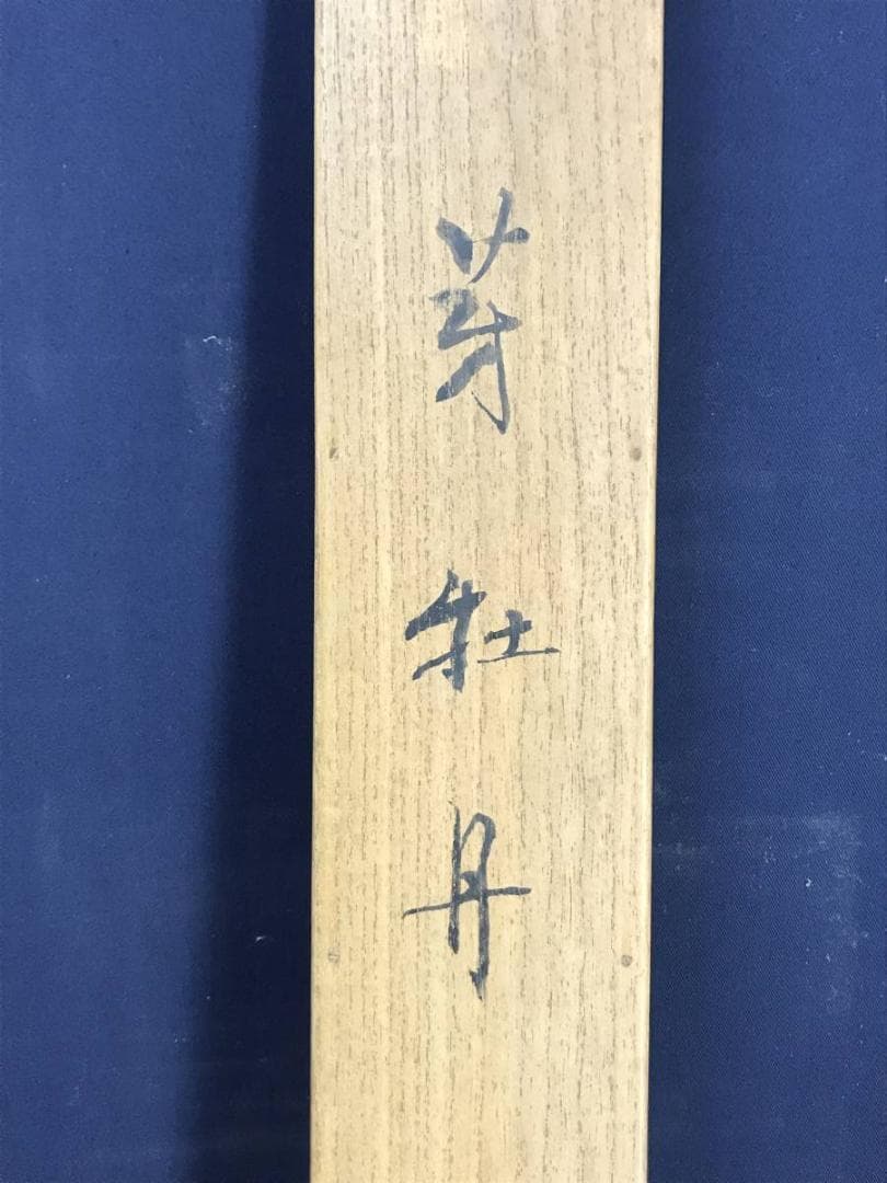 真作】藤井松山/芽牡丹図/牡丹図/花図/横物/掛軸☆宝船